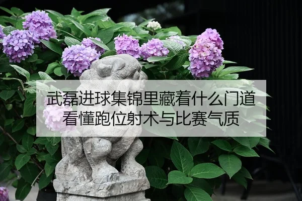 武磊进球集锦里藏着什么门道 看懂跑位射术与比赛气质